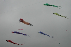 Donaueschingen   /  und Fische