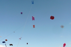 Fliegen in Houlgate
