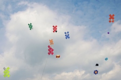 gemeinsames Fliegen in Donueschingen