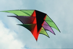 Drachenfest Schaffhausen
