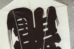 Ausstellung japanischer Drachen von Masami Takakuwa