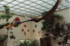 Ausstellung japanischer Drachen von Masami Takakuwa