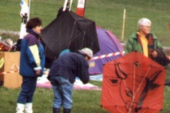 Rokkaku-Kampf, Drachenfest Weingarten