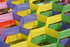 Brie-Comte-Robert, Ansicht eines doppelten Hexagon-Drachen,