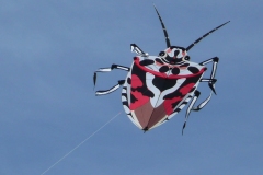 Hütten, Zikkaden aus Schaffhausen, super Designe