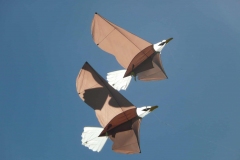 Hütten, die fliegen gemeinsam