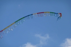 Leibertingen, Centipede