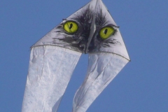 Leibertingen, Delta mit Katzen-Augen