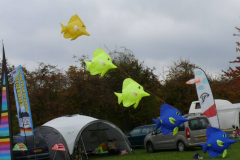 Aachen, schöne Fische als Windspiel