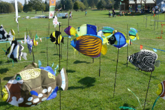 Epinal, Fischgarten – Windspiele