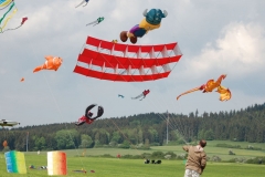 Bilder aus 2015