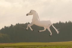Leibertingen