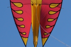 Bilder aus 2021