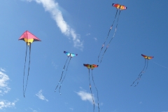 Drachenfest Leibertingen