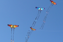 Drachenfest Leibertingen
