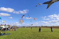 Drachenfest Löchgau