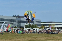 Drachenfest Malmsheim