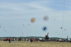 Drachenfest Malmsheim