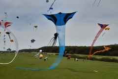 Grabenstetten,  Ririn,  Projekt 2024