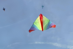 Münsingen, ein Open-Kiel-Delta von Horst