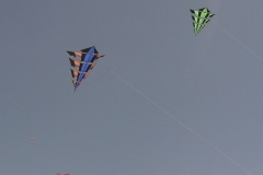 Brogden im Flug