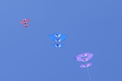 coucou-18