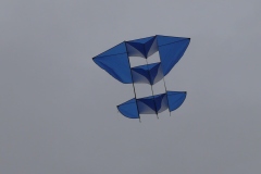 coucou-28