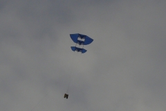 coucou-38