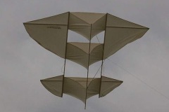 coucou-44