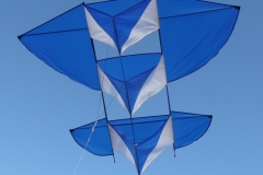 coucou-7