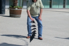 Modellbau-Ausstellung/ Speedwings ca, 20 cm breit