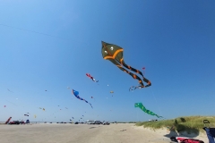 unsere Fisch-Deltas im Flug