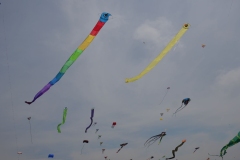 gemeinsames Fliegen der Jangtze Drachen mit dem Erbauer Andreas