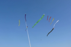 gemeinsames Fliegen der Jangtze Drachen mit dem Erbauer Andreas