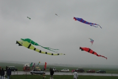 wir fliegen am liebsten im Wasser