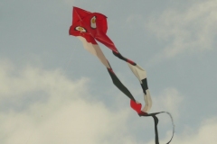 halbe Größe