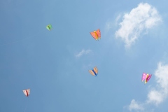 Probe-Fliegen
