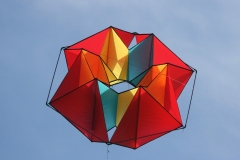 Koenigsfacette in der Sonne