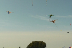 Gruppenfliegen in Hütten