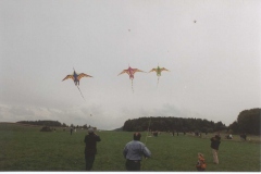Vorführung in Weingarten