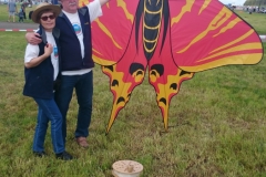 zwei Schmetterlinge im Bild