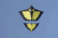 type6