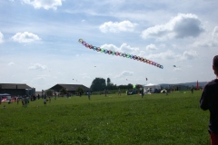 Schaffhausen/ sie fliegt