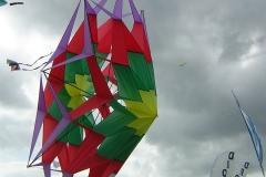 Bilder aus 2007