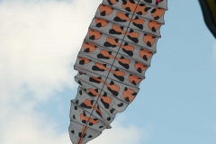 Hütten, eine Raupe