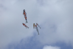 Hütten, Koi am Himmel