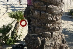 San Vito lo Capo, Palme als Drachenhalter