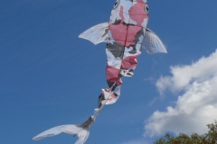 Zappelfisch von Horst