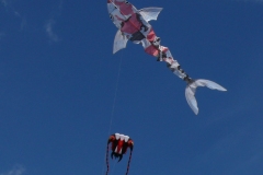 Zappelfisch von Horst