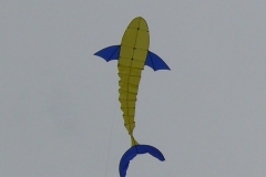 Zappelfisch/Versuch2 mit Ballonstoff und CFK